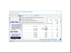 SAP Crystal Reports Viewer - exporting