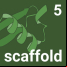Scaffold