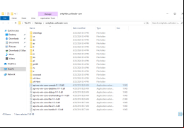 smtp4dev - main-folder