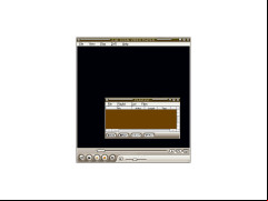 Total Video Player - playlist