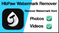 Video Watermark Remover