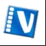 Vidomi