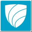 VIPole logo