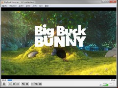 VLC Media Player screenshot 2