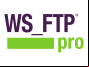 WS FTP Professional