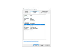 X-Proxy - details