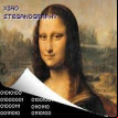Xiao Steganography logo
