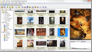 XnViewMP screenshot 1